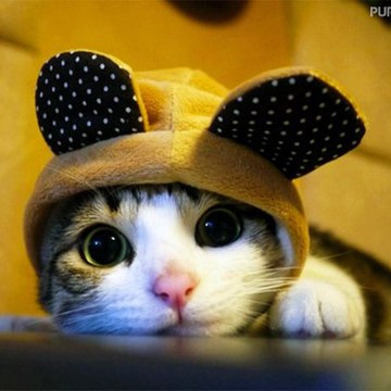 OMGFUNNY