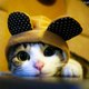 OMGFUNNY