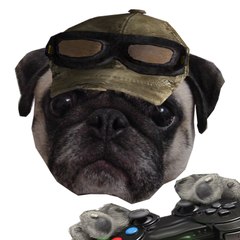 Grumpy PugGamer