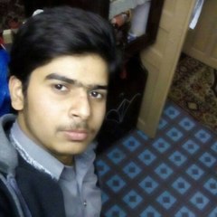 Muhammad Adil Aslam
