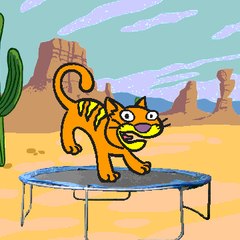 ProTrampolines
