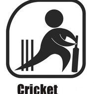 Cricket Mania