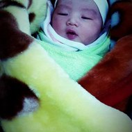 All Hail King Julien