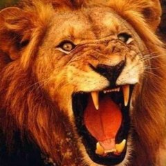 Fun and entertaitment