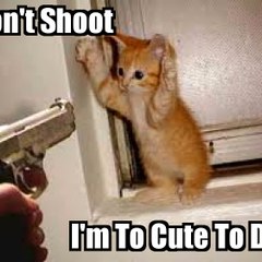 LuvCatsFurLife