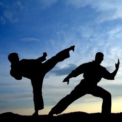 Jeonsinaekwondo