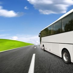 Knaan Tours