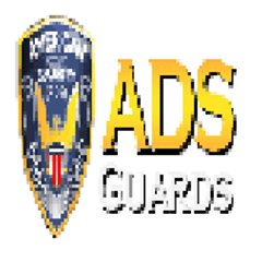 Adsguardssj