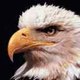 Timothy Ethel