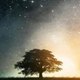 Shawn Morgan