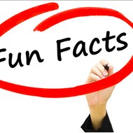 Ask interesting Facts