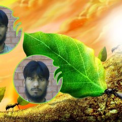 haroon noon