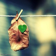 اعمل من منزلك مع كبرى الشركات العالمية