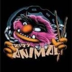 animal33