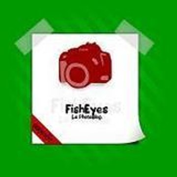FishEyes