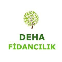 dehafidancilik