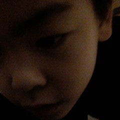Habu999