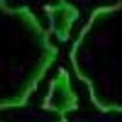 eXXos