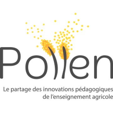 Pollen, innovations pédagogiques