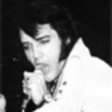 Elvisbizz