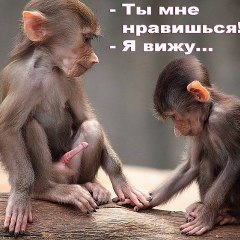 very funny