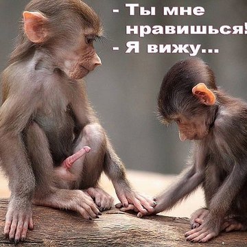 very funny