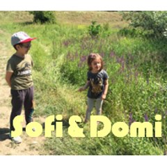 Spider Sofi & Super Domi