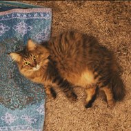 entertaintment movie