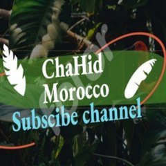 ChaHid Morocco