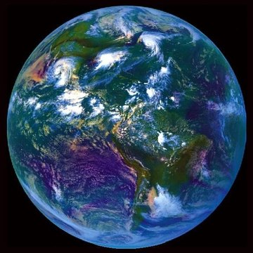 UNREAL WORLD™