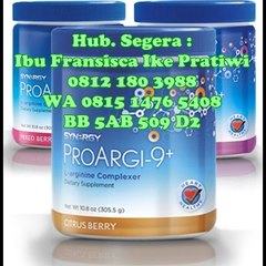 Produksynergy 06