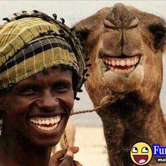 funny best videos in the worlds