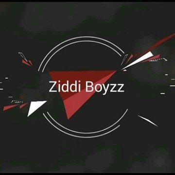 Ziddi Boyzz