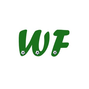 WittyFu
