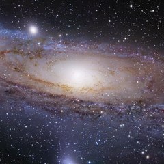 Cosmos
