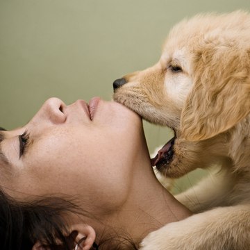 Dog and Love
