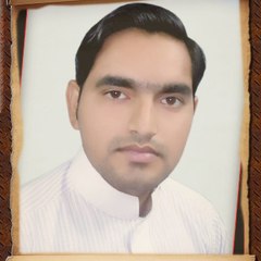 Ali Jahanzaib