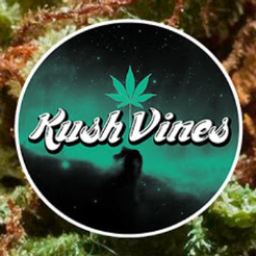 Kush Vines