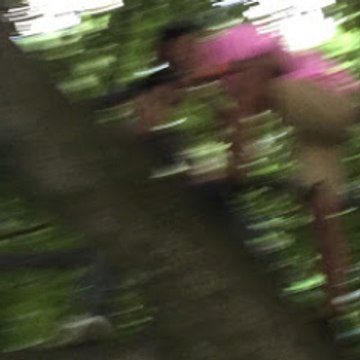 BrazilsAmericanJackass