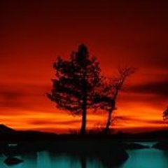 Florent68