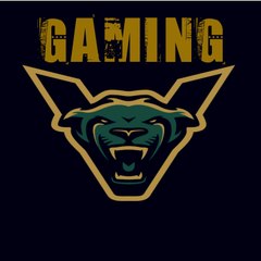 Vikk Gaming