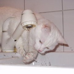 tabouille