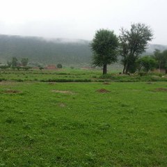 karbogha sharif beauty