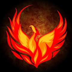 DoctorPhoenix