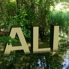 Alijavaid