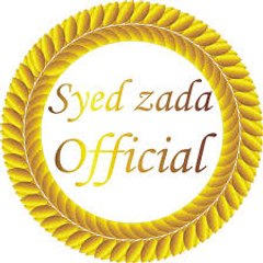 Passdaran E Azadari Shia Foundation