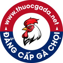 Thuocgada.Net | Đẳng cấp gà chọi