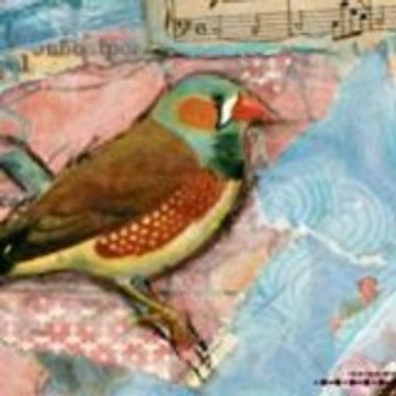 El Universo de Elisa