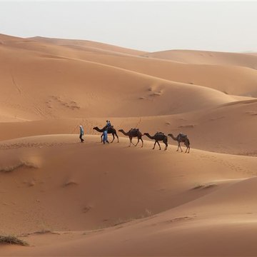 Travel2Discover