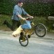 Pigriders